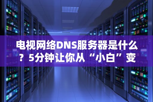 电视网络DNS服务器是什么？5分钟让你从“小白”变“大神”！