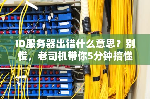 ID服务器出错什么意思？别慌，老司机带你5分钟搞懂！