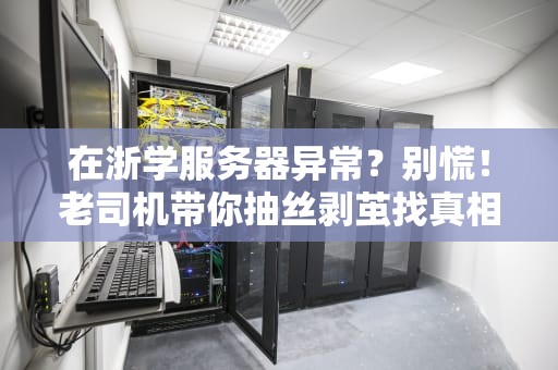 在浙学服务器异常？别慌！老司机带你抽丝剥茧找真相