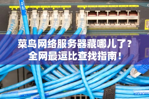 菜鸟网络服务器藏哪儿了？全网最逗比查找指南！