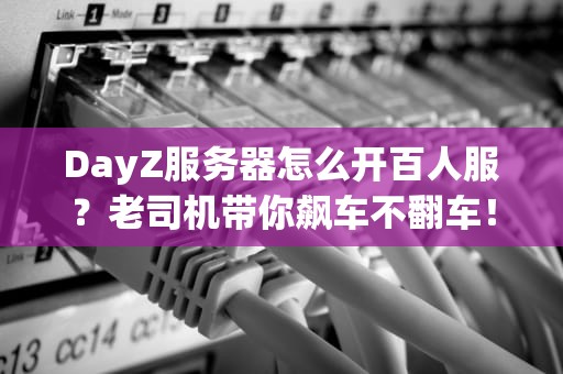 DayZ服务器怎么开百人服？老司机带你飙车不翻车！