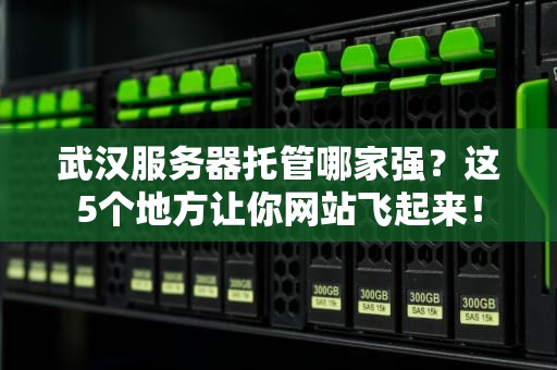 武汉服务器托管哪家强？这5个地方让你网站飞起来！