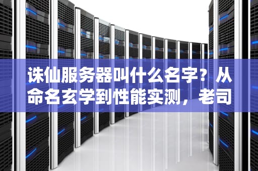 诛仙服务器叫什么名字？从命名玄学到性能实测，老司机带你飙车选服！
