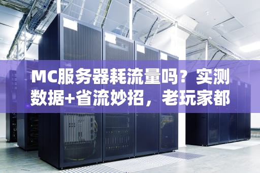 MC服务器耗流量吗？实测数据+省流妙招，老玩家都直呼内行！