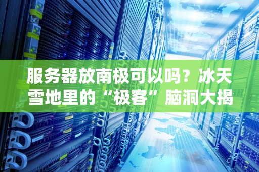 服务器放南极可以吗？冰天雪地里的“极客”脑洞大揭秘！