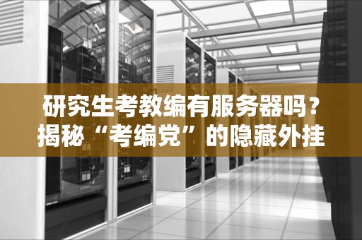 研究生考教编有服务器吗？揭秘“考编党”的隐藏外挂！