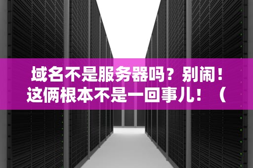 域名不是服务器吗？别闹！这俩根本不是一回事儿！（附超形象比喻）