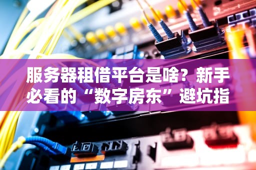 服务器租借平台是啥？新手必看的“数字房东”避坑指南！