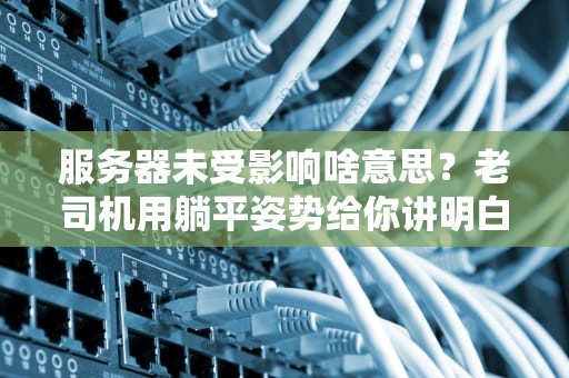 服务器未受影响啥意思？老司机用躺平姿势给你讲明白！
