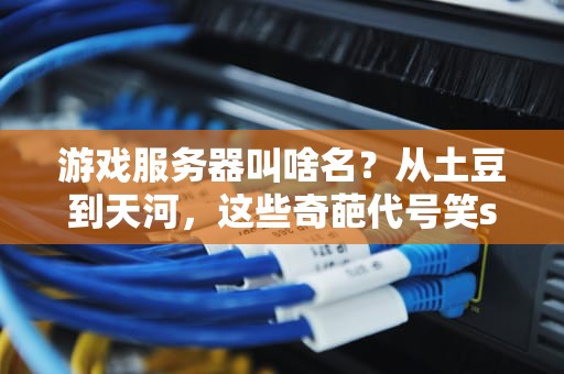 游戏服务器叫啥名？从土豆到天河，这些奇葩代号笑skr人！