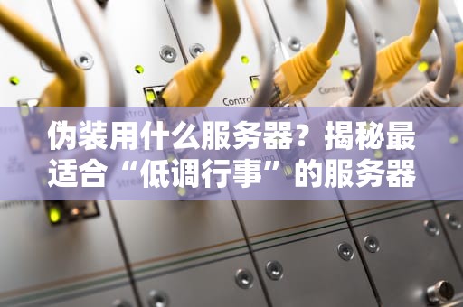 伪装用什么服务器？揭秘最适合“低调行事”的服务器选择指南！