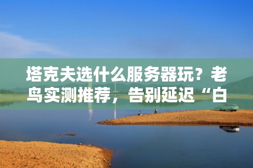 塔克夫选什么服务器玩？老鸟实测推荐，告别延迟“白给”局！