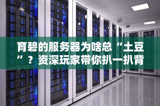 育碧的服务器为啥总“土豆”？资深玩家带你扒一扒背后的玄机！