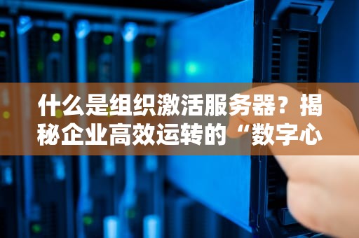 什么是组织激活服务器？揭秘企业高效运转的“数字心脏”