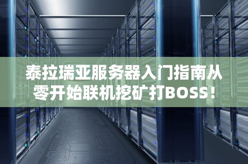 泰拉瑞亚服务器入门指南从零开始联机挖矿打BOSS！