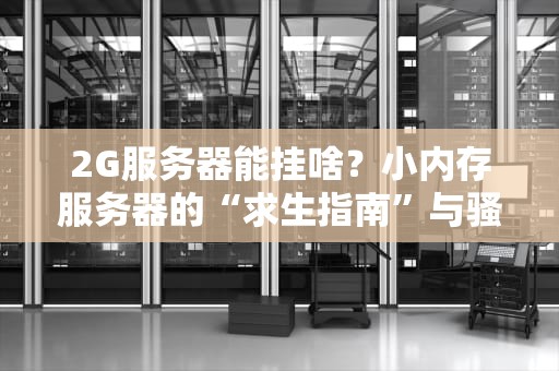 2G服务器能挂啥？小内存服务器的“求生指南”与骚操作大全！