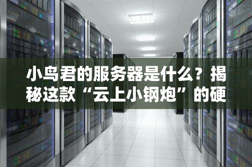 小鸟君的服务器是什么？揭秘这款“云上小钢炮”的硬核实力！
