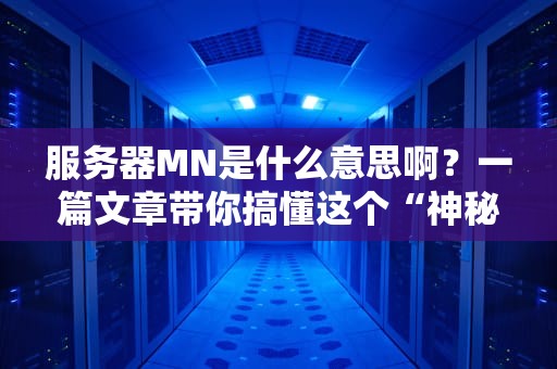 服务器MN是什么意思啊？一篇文章带你搞懂这个“神秘代码”！
