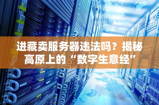 进藏卖服务器违法吗？揭秘高原上的“数字生意经”