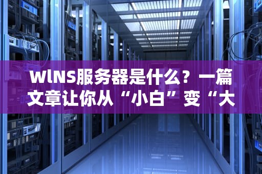 WlNS服务器是什么？一篇文章让你从“小白”变“大神”！