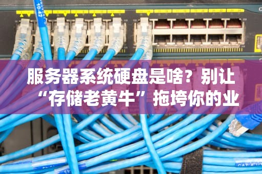 服务器系统硬盘是啥？别让“存储老黄牛”拖垮你的业务！