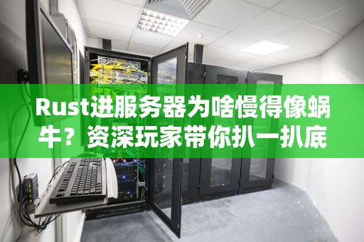 Rust进服务器为啥慢得像蜗牛？资深玩家带你扒一扒底层真相！