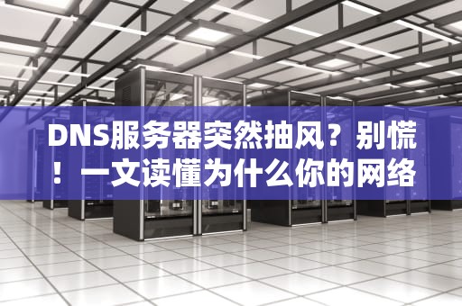 DNS服务器突然抽风？别慌！一文读懂为什么你的网络突然需要设置DNS