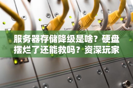 服务器存储降级是啥？硬盘摆烂了还能救吗？资深玩家吐血科普！