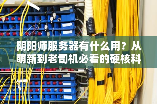 阴阳师服务器有什么用？从萌新到老司机必看的硬核科普！