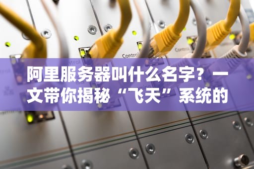 阿里服务器叫什么名字？一文带你揭秘“飞天”系统的硬核实力！