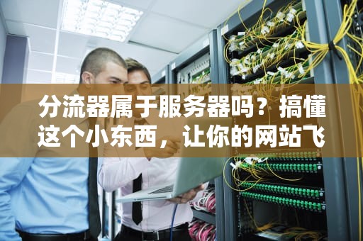 分流器属于服务器吗？搞懂这个小东西，让你的网站飞起来！