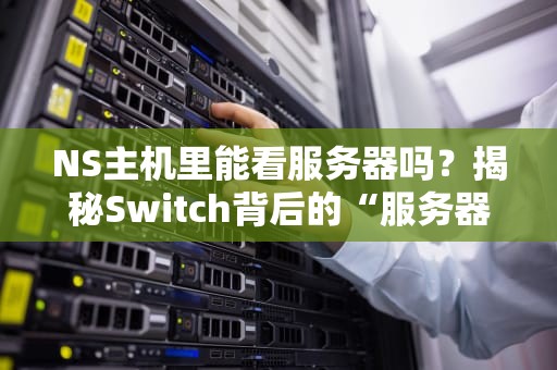 NS主机里能看服务器吗？揭秘Switch背后的“服务器”真相！