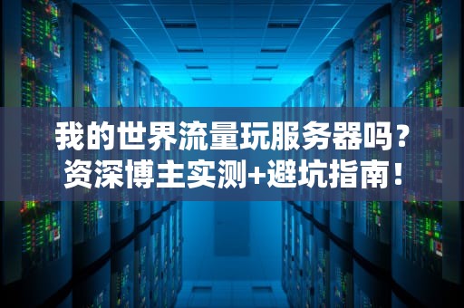 我的世界流量玩服务器吗？资深博主实测+避坑指南！