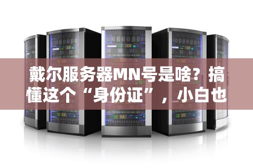戴尔服务器MN号是啥？搞懂这个“身份证”，小白也能变老司机！