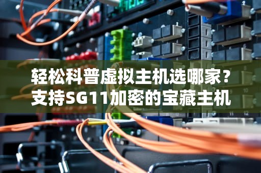 轻松科普虚拟主机选哪家？支持SG11加密的宝藏主机大盘点！