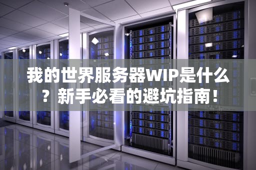 我的世界服务器WIP是什么？新手必看的避坑指南！