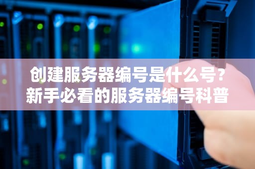 创建服务器编号是什么号？新手必看的服务器编号科普指南