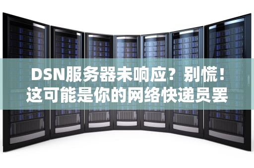 DSN服务器未响应？别慌！这可能是你的网络快递员罢工了！