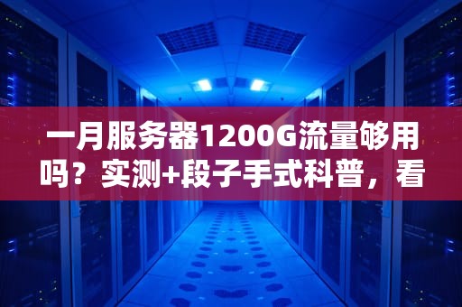 一月服务器1200G流量够用吗？实测+段子手式科普，看完笑出腹肌！
