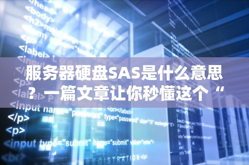 服务器硬盘SAS是什么意思？一篇文章让你秒懂这个“硬盘界劳斯莱斯”！