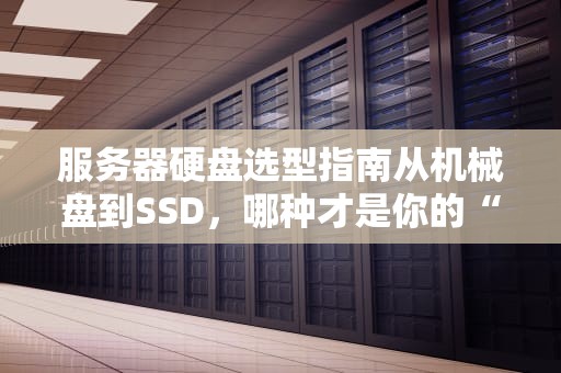 服务器硬盘选型指南从机械盘到SSD，哪种才是你的“速度与激情”？