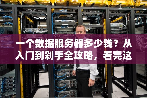 一个数据服务器多少钱？从入门到剁手全攻略，看完这篇不花冤枉钱！