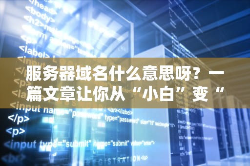 服务器域名什么意思呀？一篇文章让你从“小白”变“大神”！