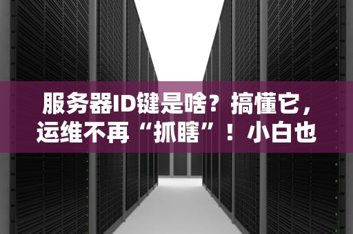 服务器ID键是啥？搞懂它，运维不再“抓瞎”！小白也能秒变老司机！