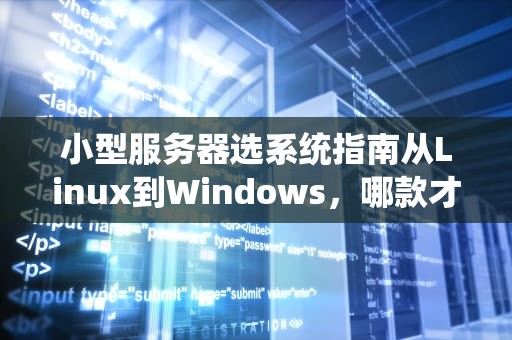 小型服务器选系统指南从Linux到Windows，哪款才是你的真命天子？