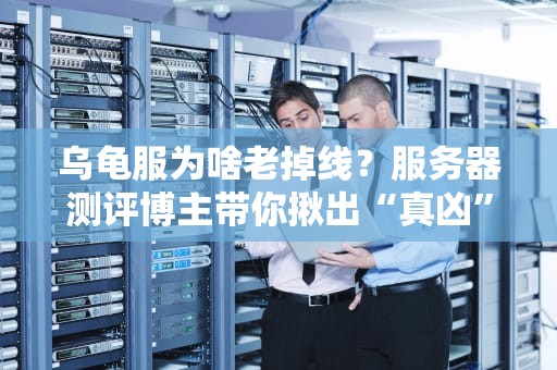 乌龟服为啥老掉线？服务器测评博主带你揪出“真凶”！
