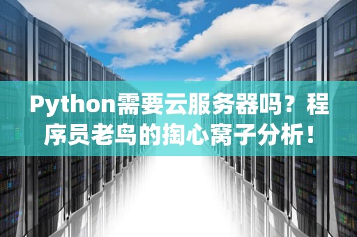 Python需要云服务器吗？程序员老鸟的掏心窝子分析！