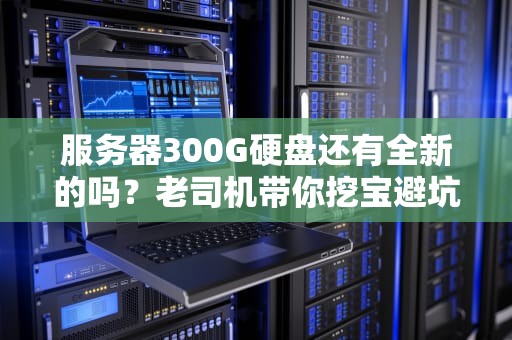 服务器300G硬盘还有全新的吗？老司机带你挖宝避坑！