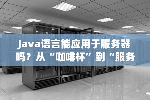 Java语言能应用于服务器吗？从“咖啡杯”到“服务器霸主”的奇幻之旅