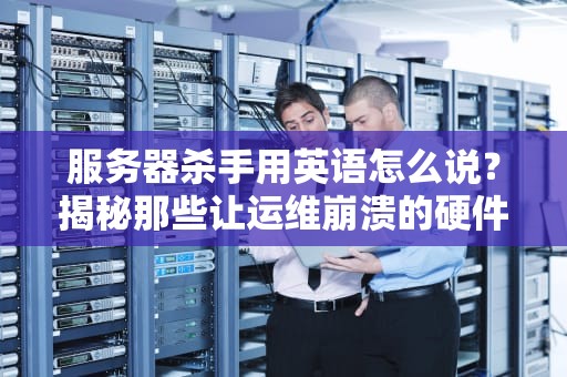 服务器杀手用英语怎么说？揭秘那些让运维崩溃的硬件黑话！